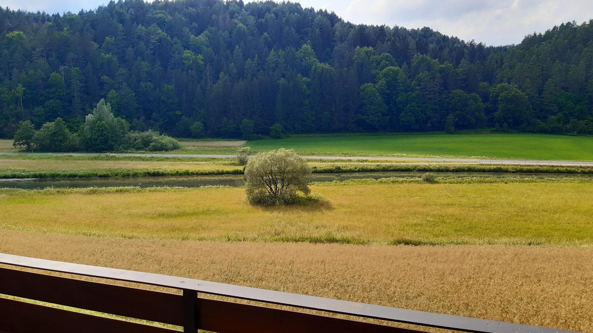 Waldpension Rabeneck Waischenfeld Bagian luar foto
