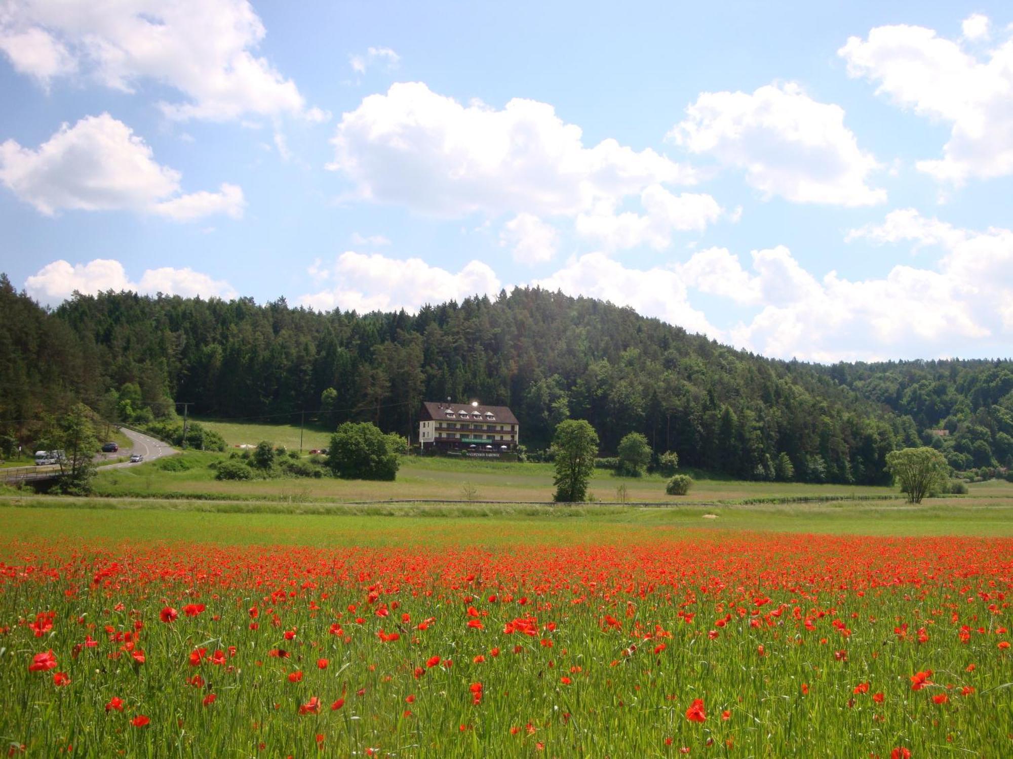 Waldpension Rabeneck Waischenfeld Bagian luar foto
